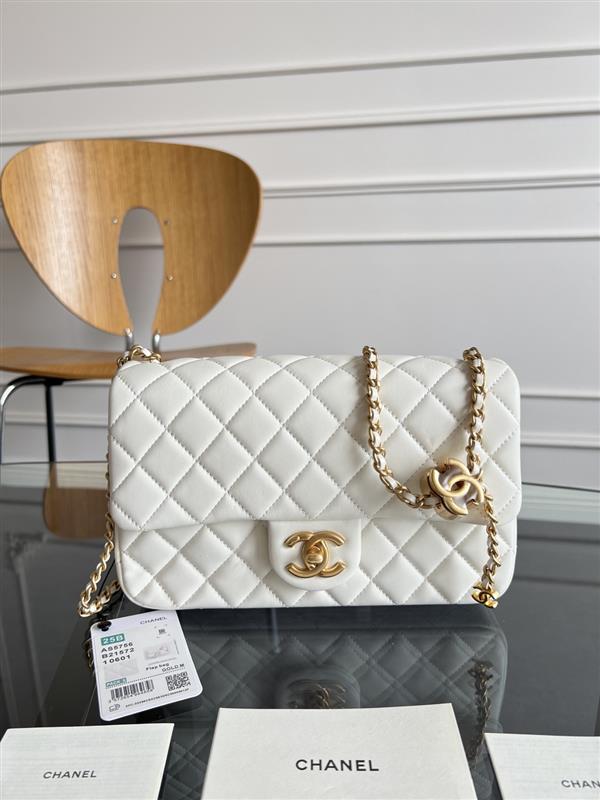 2026131214225567 670